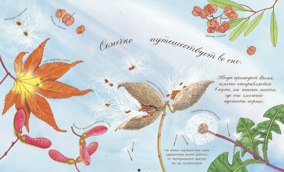 "Kāds sapnis sēklas": botānika mazākajam