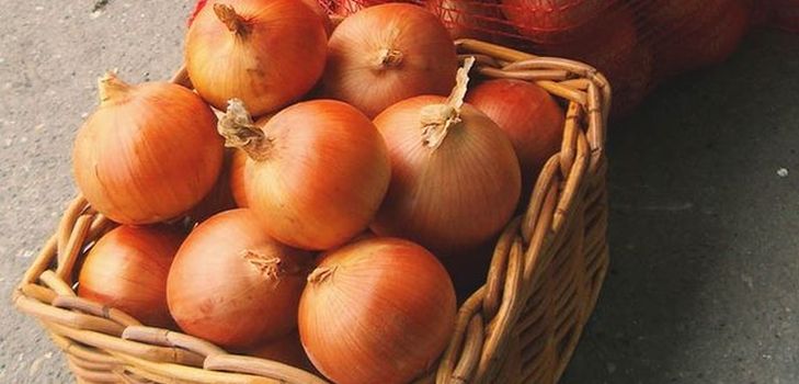 Sīpolu uzglabāšana mājās ziemā