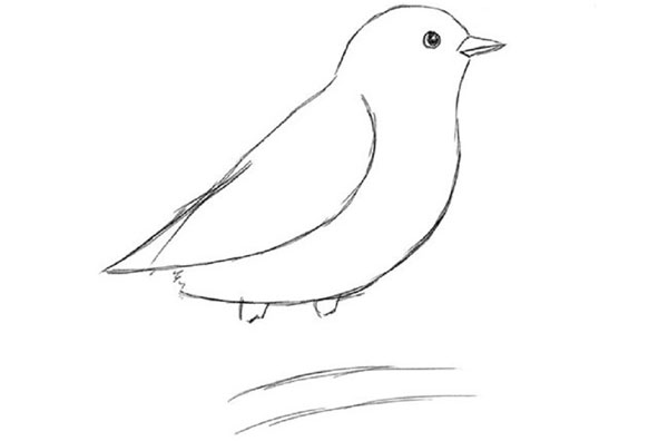 Kā uzlādēt putnu pa posmiem ar zīmuli