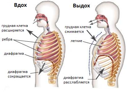 Kā iemācīties dziedāt pats?