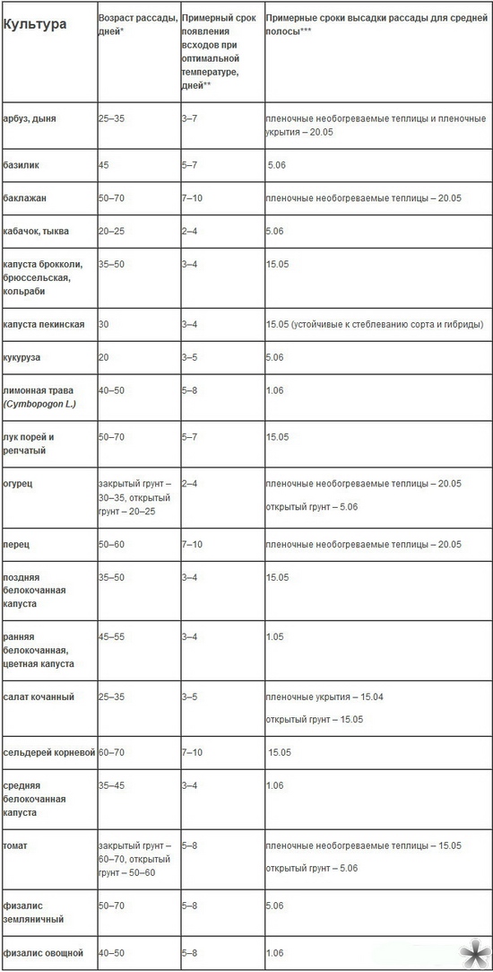 Kad augu stādus atvērtā laukā?