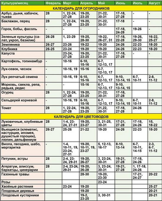 Dārznieka dārznieka mēness kalendārs 2015. gada augustā
