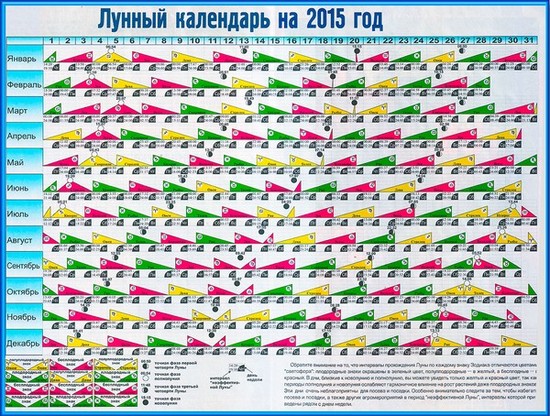 Dārznieka dārznieka mēness kalendārs 2015. gada augustā