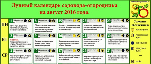Mēness kalendārs autovadītājs 2016. gada augustā Maskavas reģionā, Krievijas, Urālu, Sibīrijas, Ziemeļrietumu, Baltkrievijas un Ukrainas viduszonā Mēness kalendārs autovadītājs 2016. gada augustā Maskavas reģionā, Krievijas, Urālu, Sibīrijas, Ziemeļrietumu, Baltkrievijas un Ukrainas viduszonā