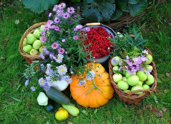 Mēness kalendārs Dārznieks līdz 2016. gada septembrim par Maskavas reģionā, North-West, Ural, Sibīrija, Ukraina, Baltkrievija