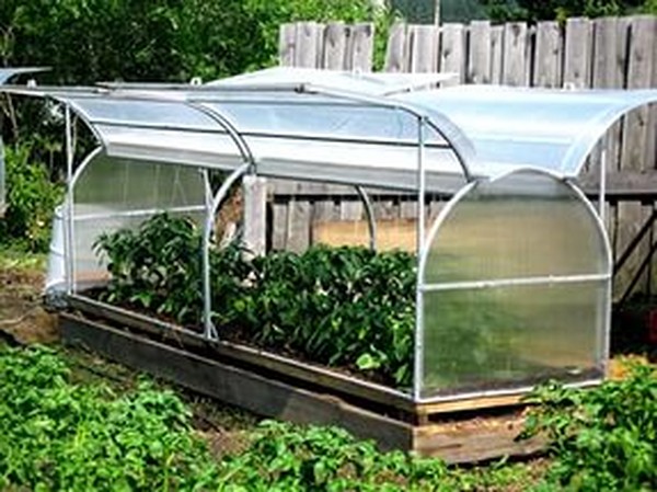 Hot Springs for Seedling: soli pa solim, Fotogrāfijas, Videos