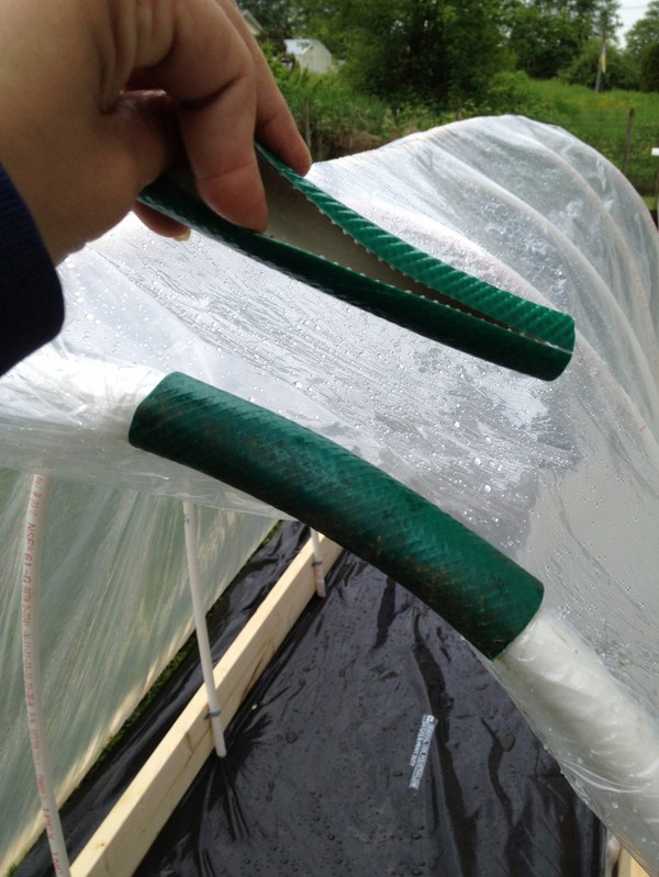Hot Springs for Seedling: soli pa solim, Fotogrāfijas, Videos