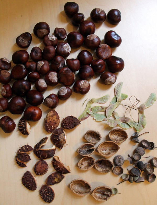 Amatniecība no kaštainiem par rudens tēmu