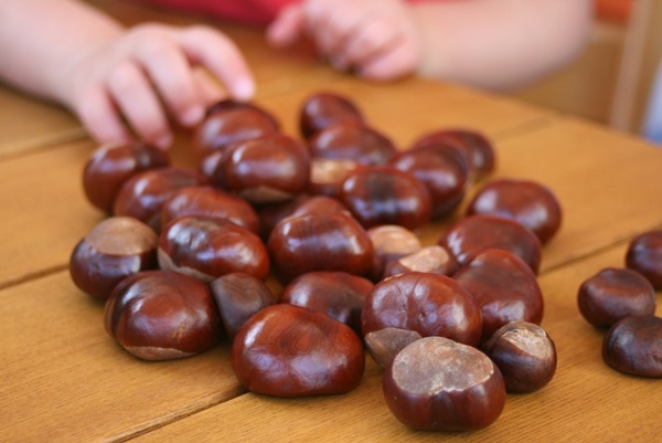 Amatniecība no kaštainiem par rudens tēmu