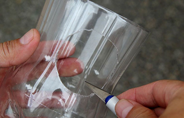 Jaunas amatniecības no plastmasas pudeles ar savām rokām dārzā un dārzā