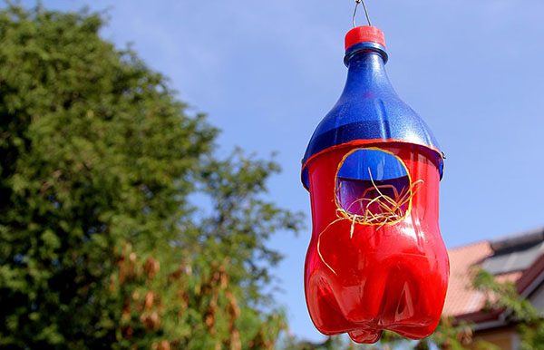 Jaunas amatniecības no plastmasas pudeles ar savām rokām dārzā un dārzā