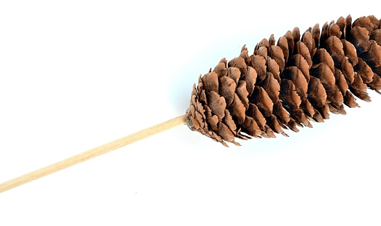 Amatniecība no dabīgā materiāla: mini-koks ar savām rokām