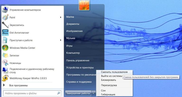 programmas logi