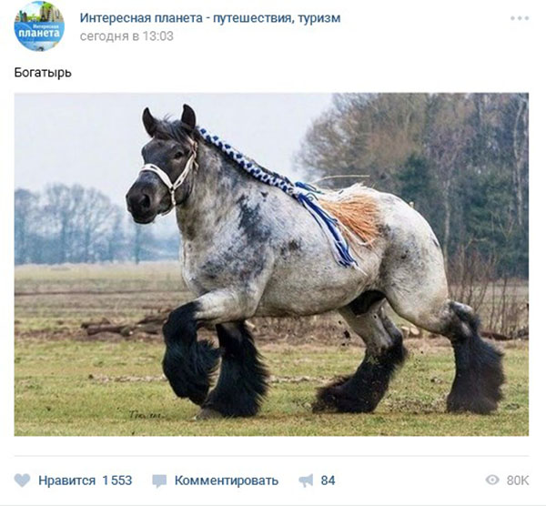 Kā viedokļi VC
