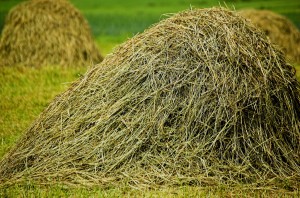 Ceļu locītavas tautas artrīta ārstēšana