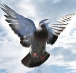 Kā palielināt pašnovērtējumu Kā palielināt pašnovērtējumu