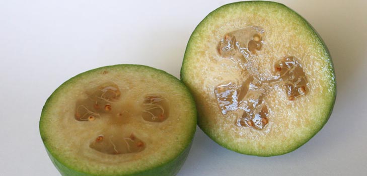 Feijoa - noderīgas īpašības, priekšrocības un kaitējums feijoa