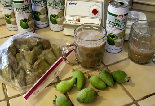 Feijoa - noderīgas īpašības, priekšrocības un kaitējums feijoa