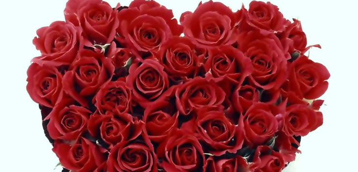 Kā apsveikt meiteni Valentīna dienā: vislabākie veidi