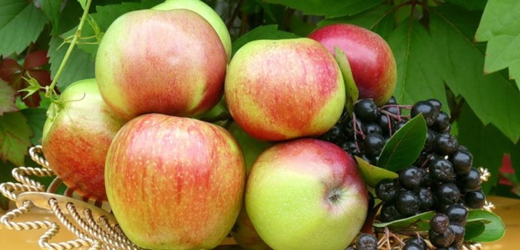 Nekrāsojiet ābolu, kamēr tas ir zaļš: kad svin Apple Pestītāju