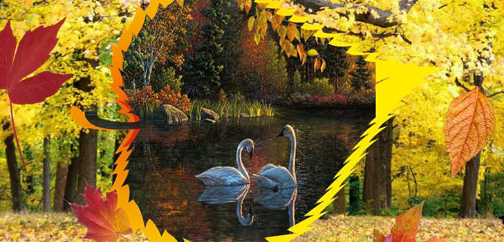 Skolēnu rudens bumba skolā vidusskolas skolēniem un 5-7 pakāpes. Stengazeta un deju rudens bumba