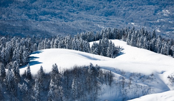 Laiks Soči 2017. gada februārī