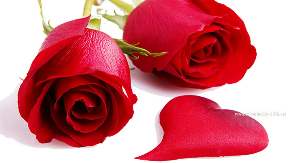Valentīna dienas dzejoļi