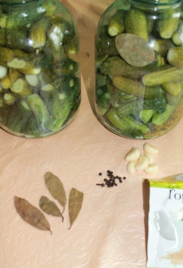 Kraukšķīgie gurķi ziemai - marinēti, bez etiķa, bez sterilizācijas. Labākās vienkāršās receptes ar kraukšķīgu gurķu fotogrāfijām kannās ar degvīnu