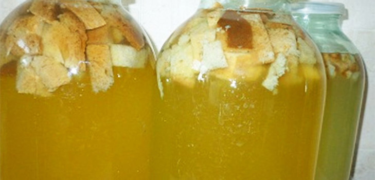 Garšīgas un vienkāršas kvass receptes uz bērza sulas Garšīgas un vienkāršas kvass receptes uz bērza sulas
