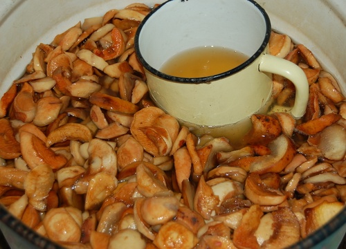 Garšīgas un vienkāršas kvass receptes uz bērza sulas Garšīgas un vienkāršas kvass receptes uz bērza sulas