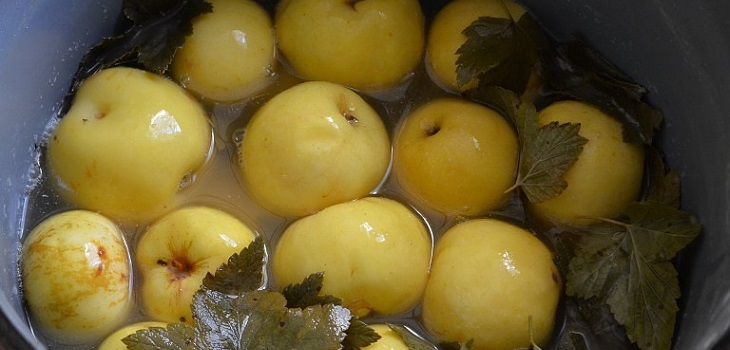 Mitra ābolu recepte