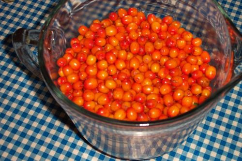 Pasterizēts ievārījums no smiltsērkšķa