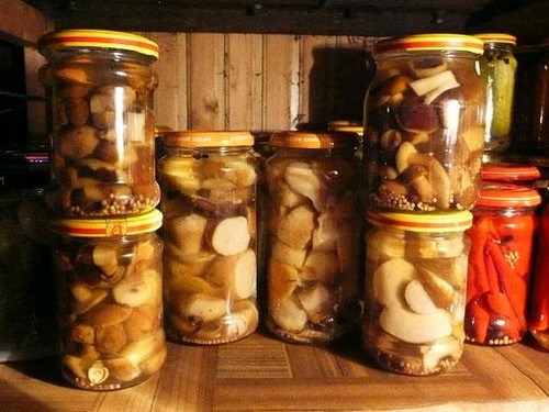 Rudzi: vienkārši un gardas gatavošanas receptes