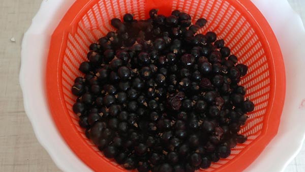 Auzenes ar cukuru ziemai bez vārīšanas, Pyatiminutka, saldētas. Upeņu recepte, rīvēta ar cukuru ziemai (bez ledusskapja)