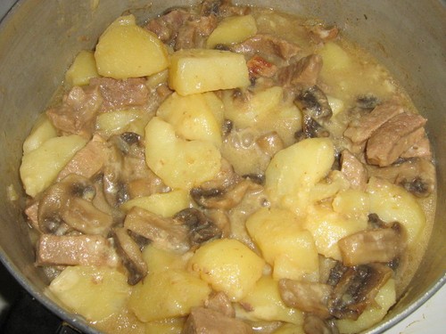 Žāvētas baltas sēnes: receptes gatavošanai