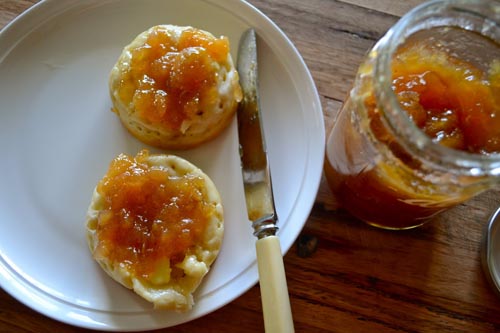 Jam no feijoa bez vārīšanas, recepte dzīvam ievārījumam ar fotoattēlu