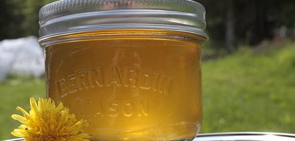 Jam un medus no dandelions ar citronskābi un bez skābes
