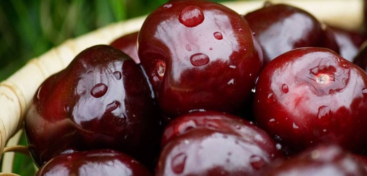 Ķiršu ziemai - receptes - ievārījums ar sēklām un kauliņiem, piecu minūšu laikā, ievārījums, želatīns bez želatīna, ķiršu kompots Ķiršu ziemai - receptes - ievārījums ar sēklām un kauliņiem, piecu minūšu laikā, ievārījums, želatīns bez želatīna, ķiršu kompots