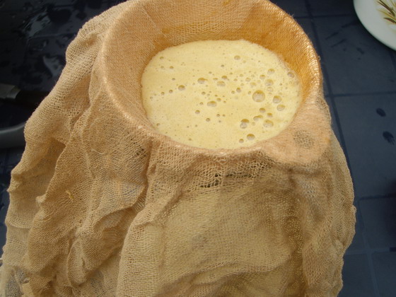 Ābolu sula ziemai