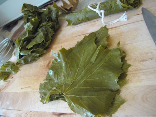 Kā marinēt vīnogulāju lapas dolma