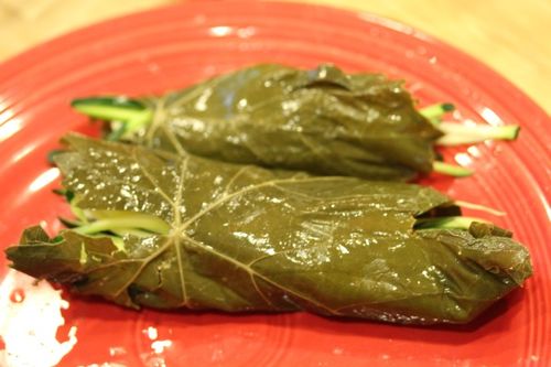 Receptes vīnogu kauliņu novākšanai dolma Kā marinēt vīnogulāju lapas dolma