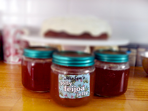 Želeja no feijoa ziemai, recepte ar foto
