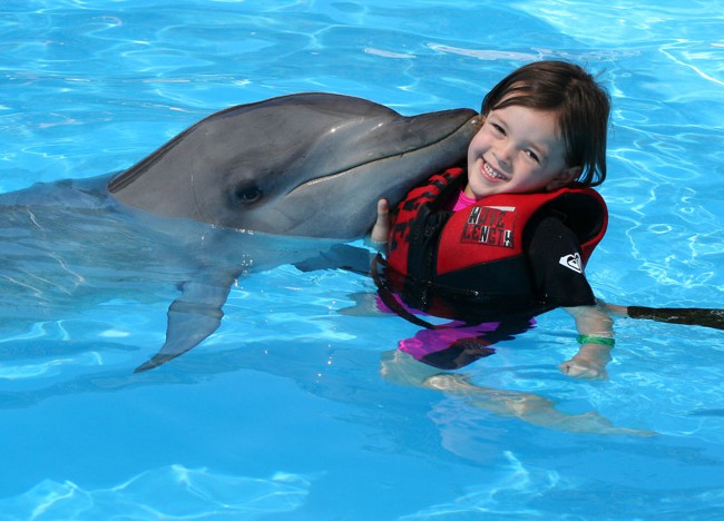 Dolphin terapija: peldēšana ar delfīniem