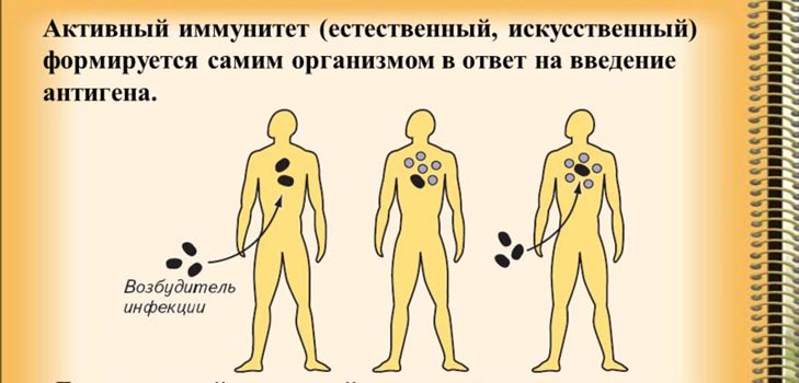 Imunitāte: par veselības aizsardzību