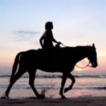 Hippotherapy: visaptveroša rehabilitācijas metode Hippotherapy: visaptveroša rehabilitācijas metode
