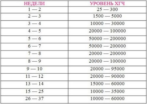 HCG grūtniecības laikā