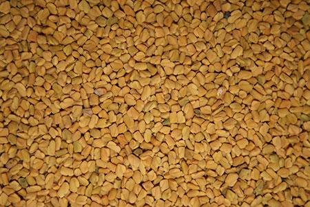 Fenugreek - kas tas ir? Noderīgas smiltsērkšķu īpašības (ar fotoattēlu)