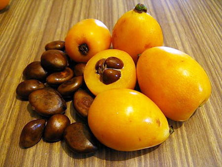Noderīgas īpašības medlar, pielietošana medicīnā
