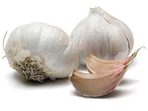 Vasodilatora līdzekļi