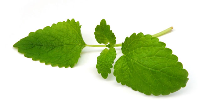 Mint īpašības